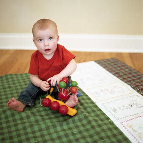 DIY embroidered baby strip quilt kit-puppies-green plaid